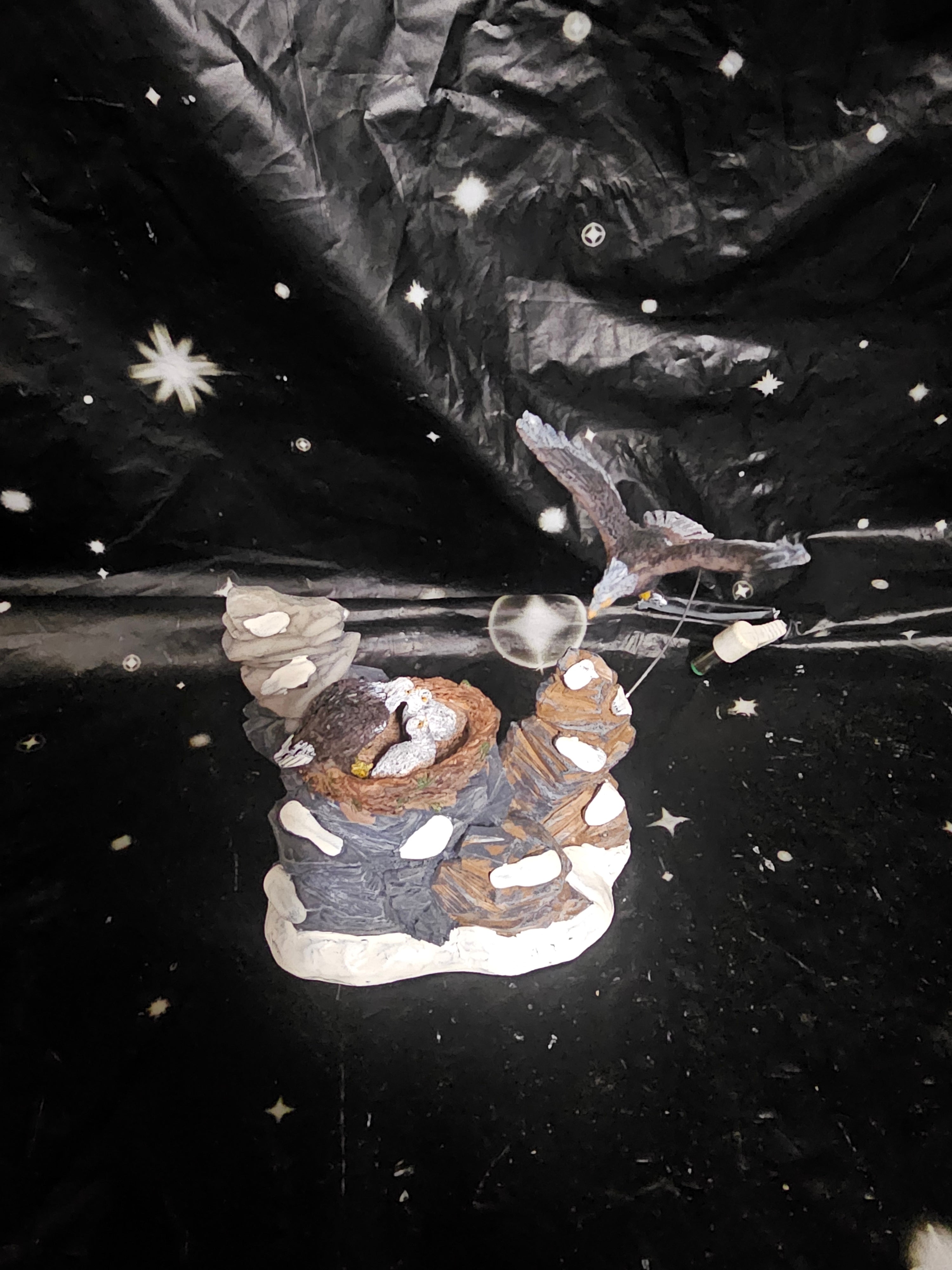 Eagles Feeding 33401